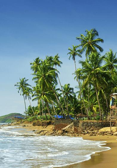 Weekend Andaman Tour Package  |  Andaman Honeymoon  Package For Couple |   Best Andaman Tour Package