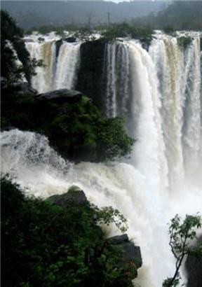 Weekend Maysore Coorg Tour Package  |Maysore Coorg Honeymoon  Package For Couple |   BestMaysore Coorg Tour Package